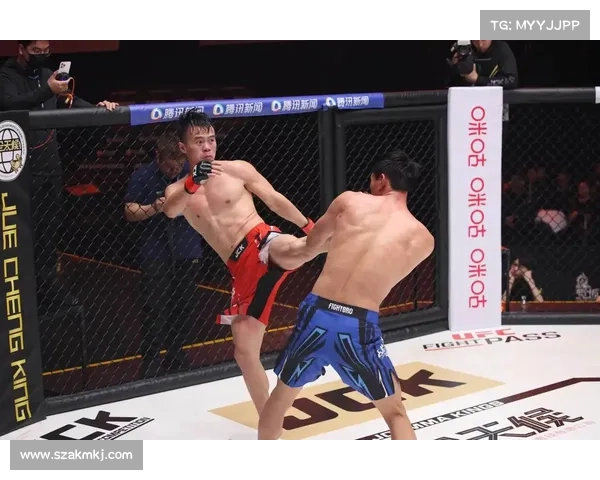 mma赛事有哪些 mma赛事有哪些