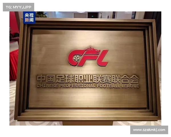 中国女子职业赛事中国女子职业学院