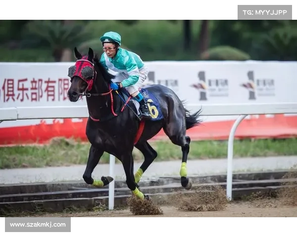 中国马术协会报名表