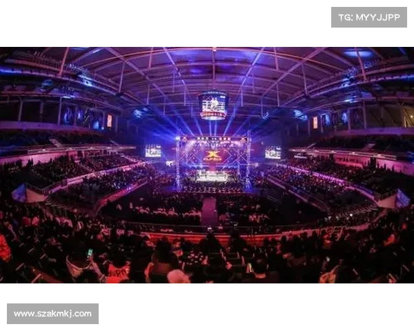 全球瞩目综合格斗大赛赞助盛宴，品牌联手共创辉煌未来