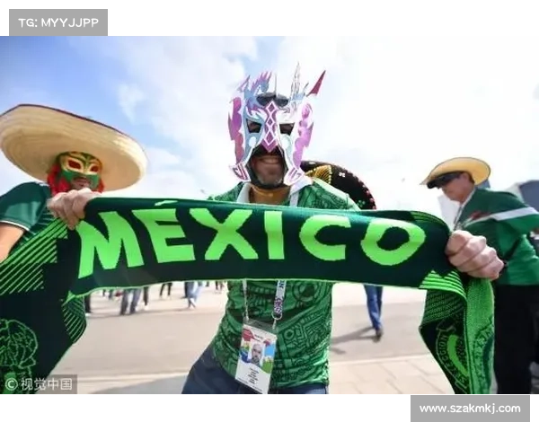 墨西哥瑞典是什么赛事—墨西哥瑞典球迷庆祝