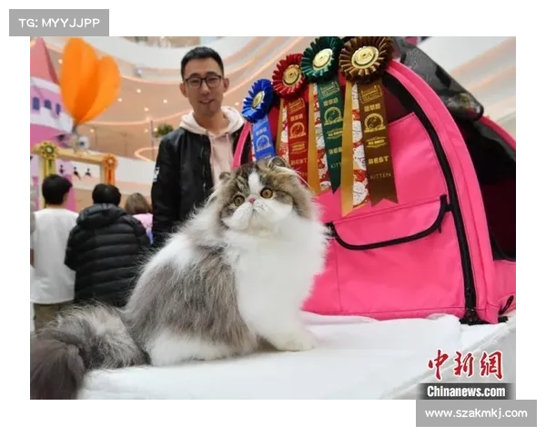超级赛事,超级赛事喵 超级赛事,超级赛事喵